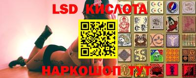 прущие грибы Новозыбков