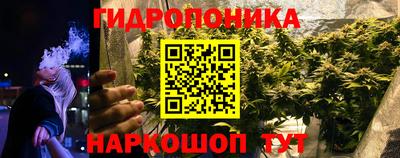 мдма Новодвинск