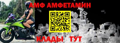 прущие грибы Новозыбков